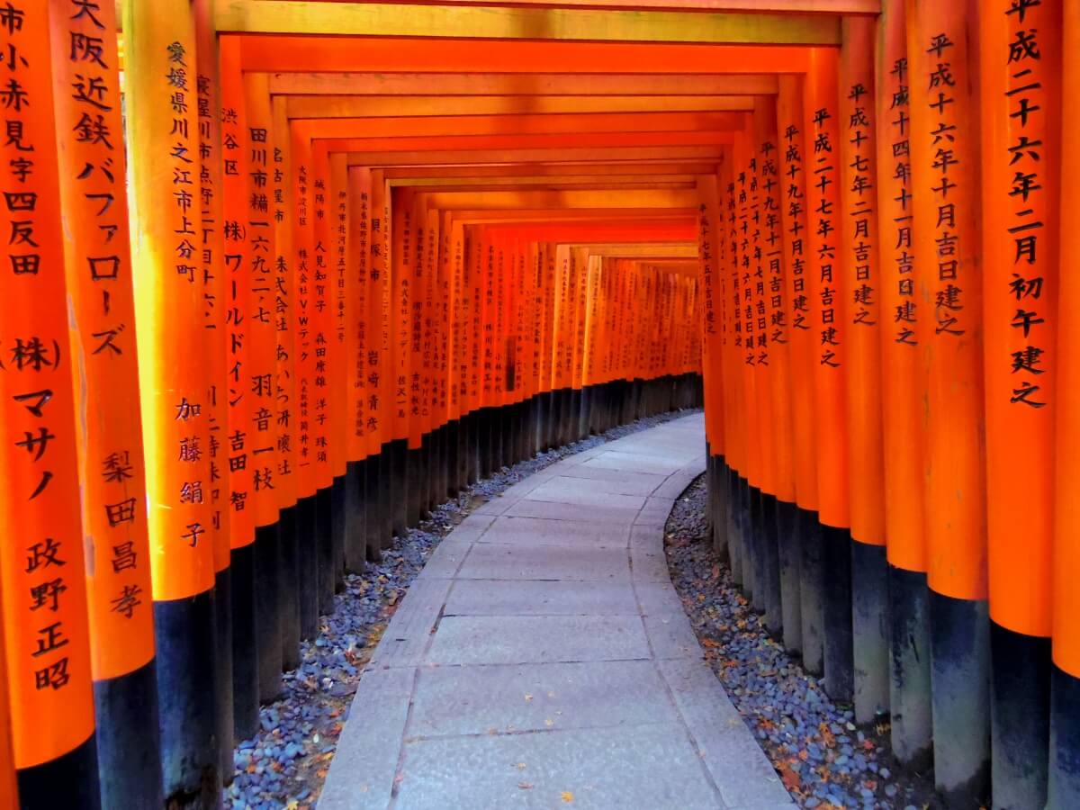 1 Day Kyoto Suggested Itinerary [HIGHLIGHT(7hours)] | | Japan Wonder 