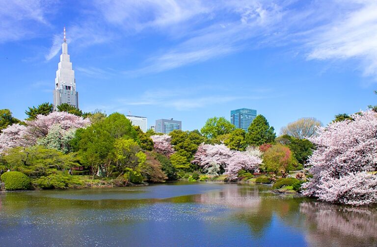 The Ultimate Guide To Shinjuku Gyoen Japan Wonder Travel Blog