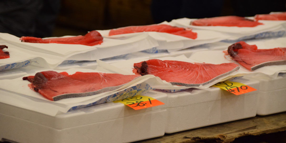 Sample of tuna at the fish market