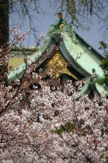 Ouji shrine