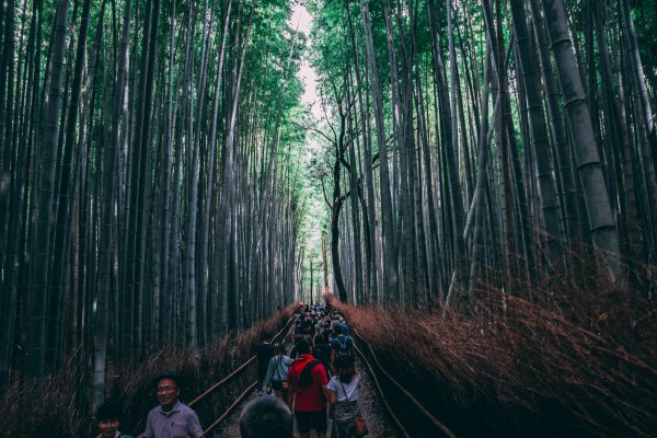 arashiyama