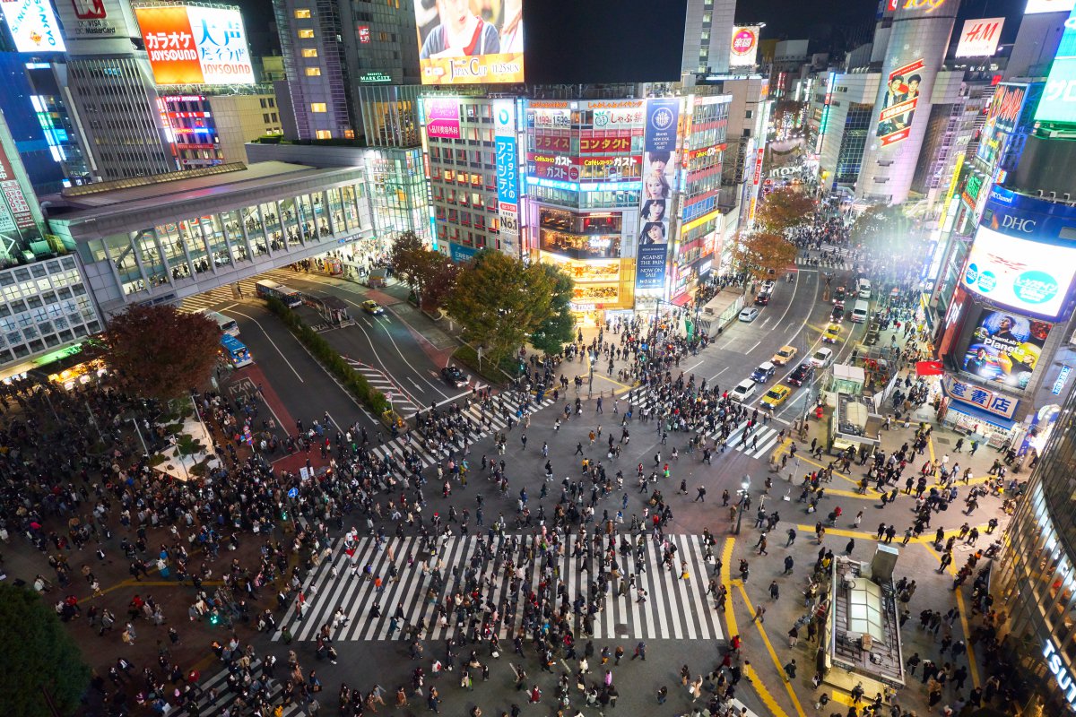 Shibuya Scramble Crossing, Shibuya Sky, Family Friendly Destination, hachiko Statue, Tokyo, Japan