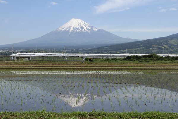 Mount Fuji Shinkansen with rice-fields