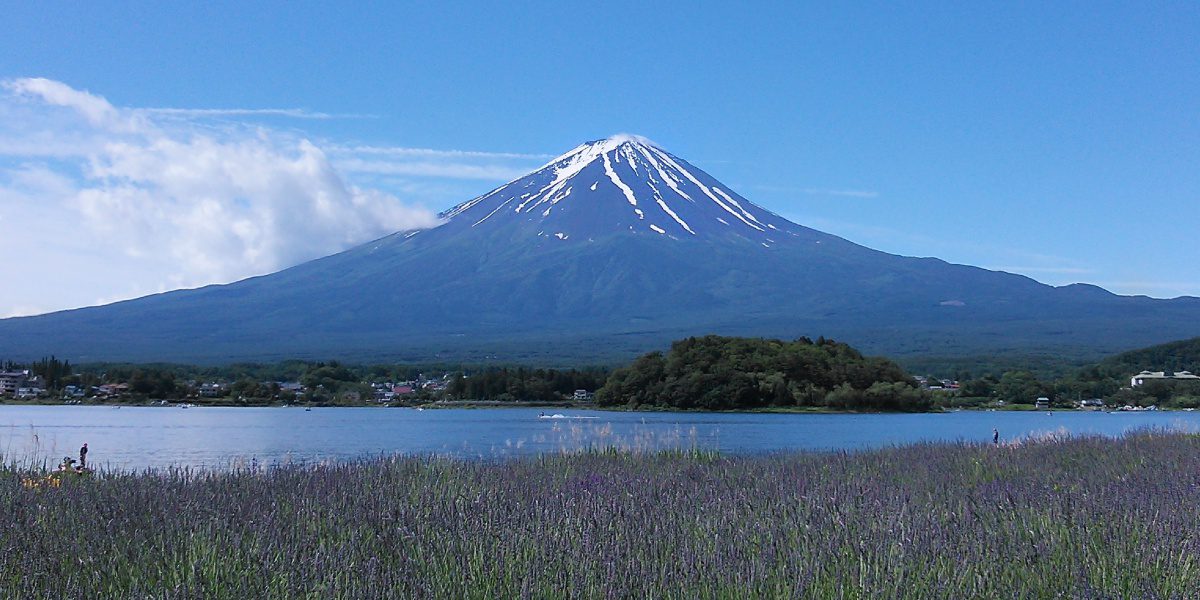Mount Fuji kawaguchi oishi park