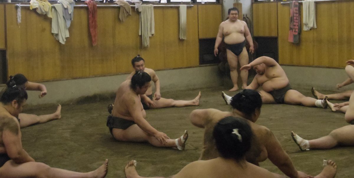 Sumo stable practice