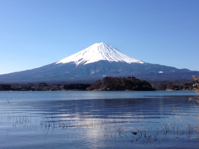 Mount Fuji Kawaguchi oishi park