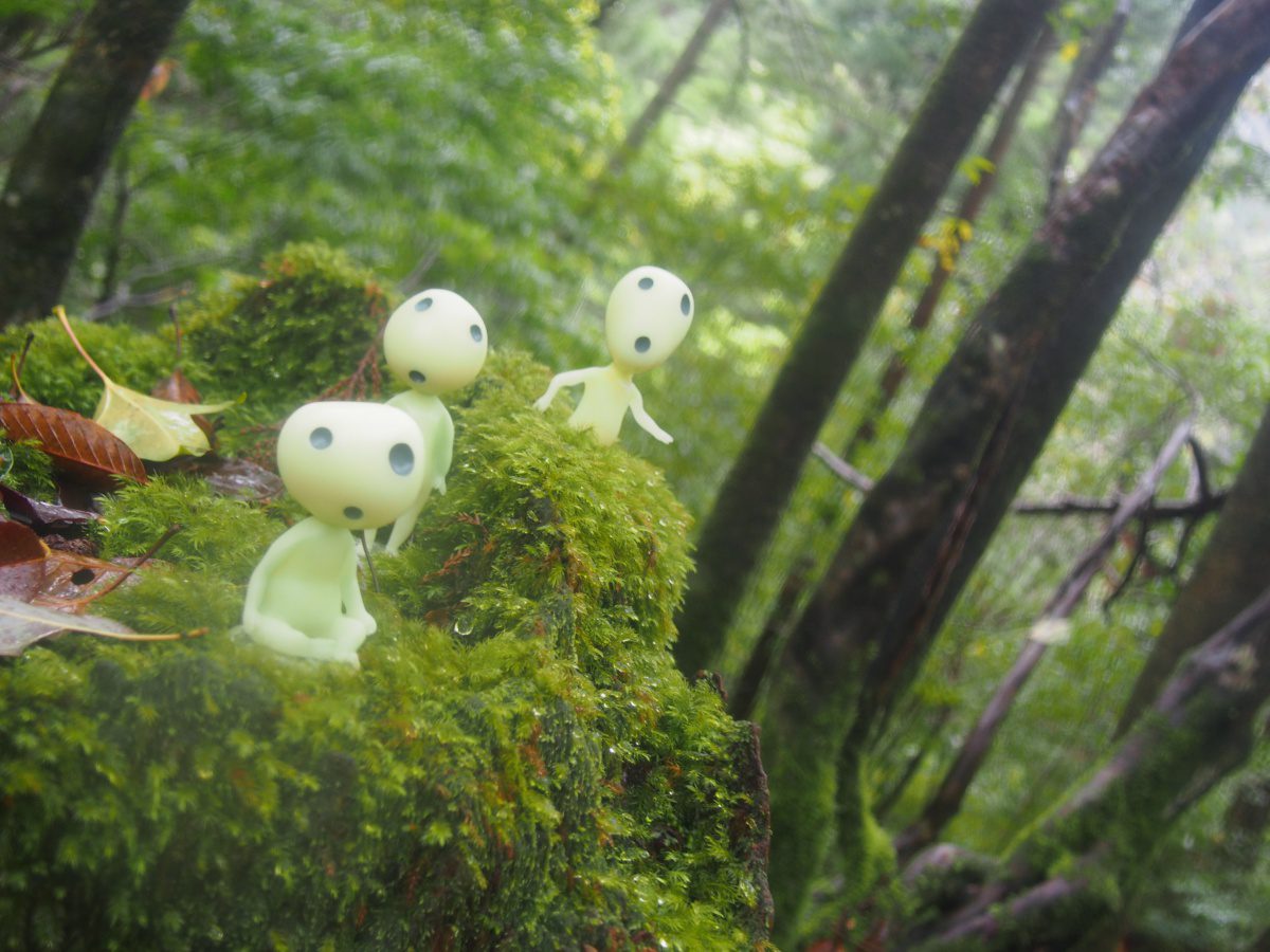 Yakushima, Ghibli location