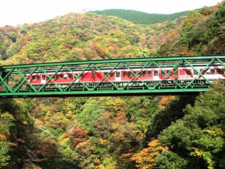 hakone-tozantrain