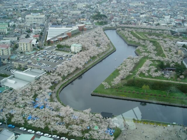 Sakura Goryokaku Fort park in Hakodate, Hokkaido