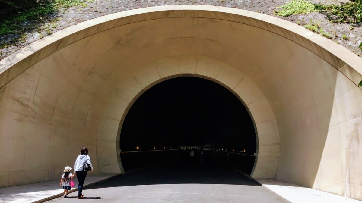 Entrance to Miho Museum through a tunnel under forest, 80% of the