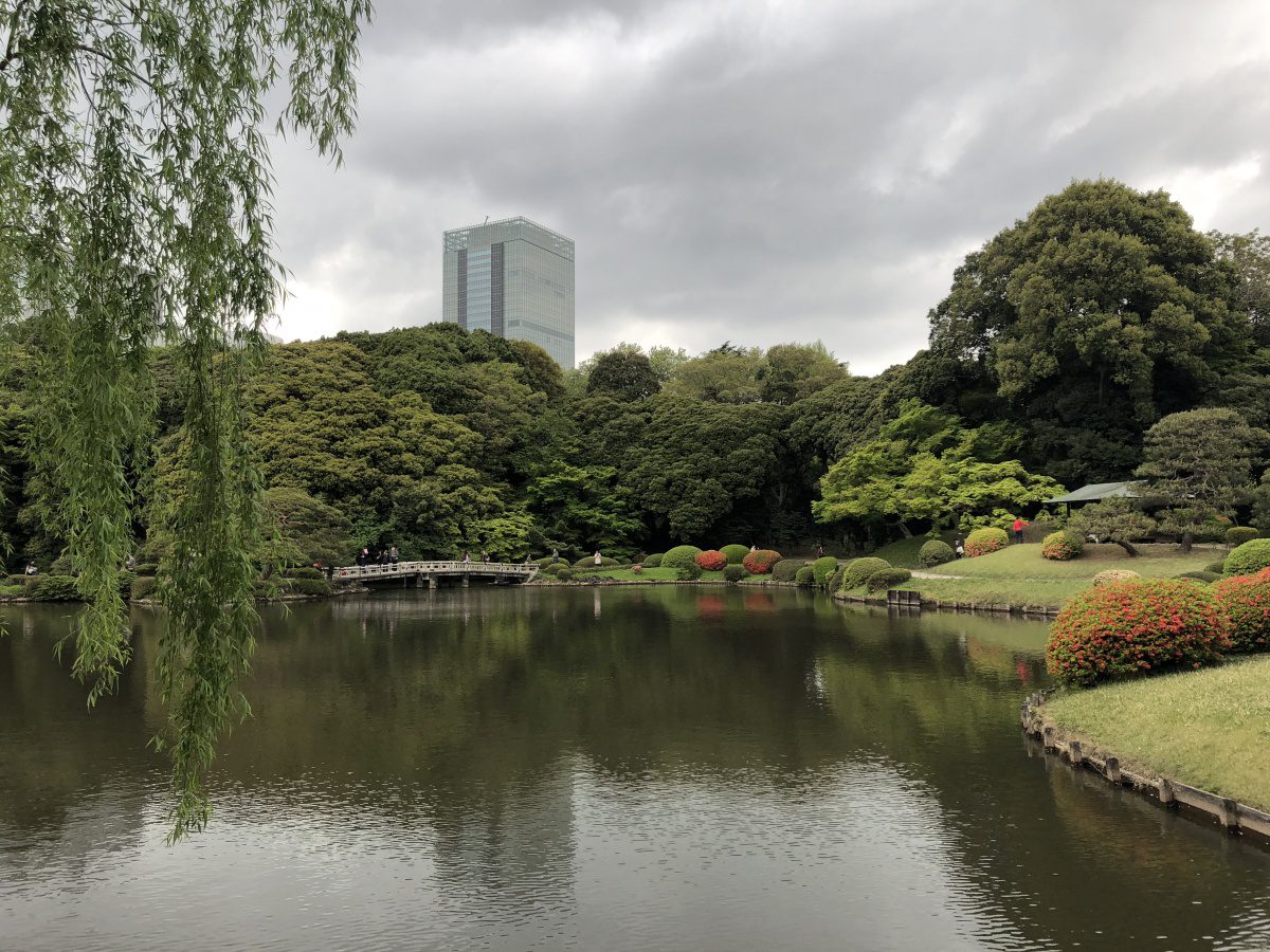 Shinjuku gyoen park