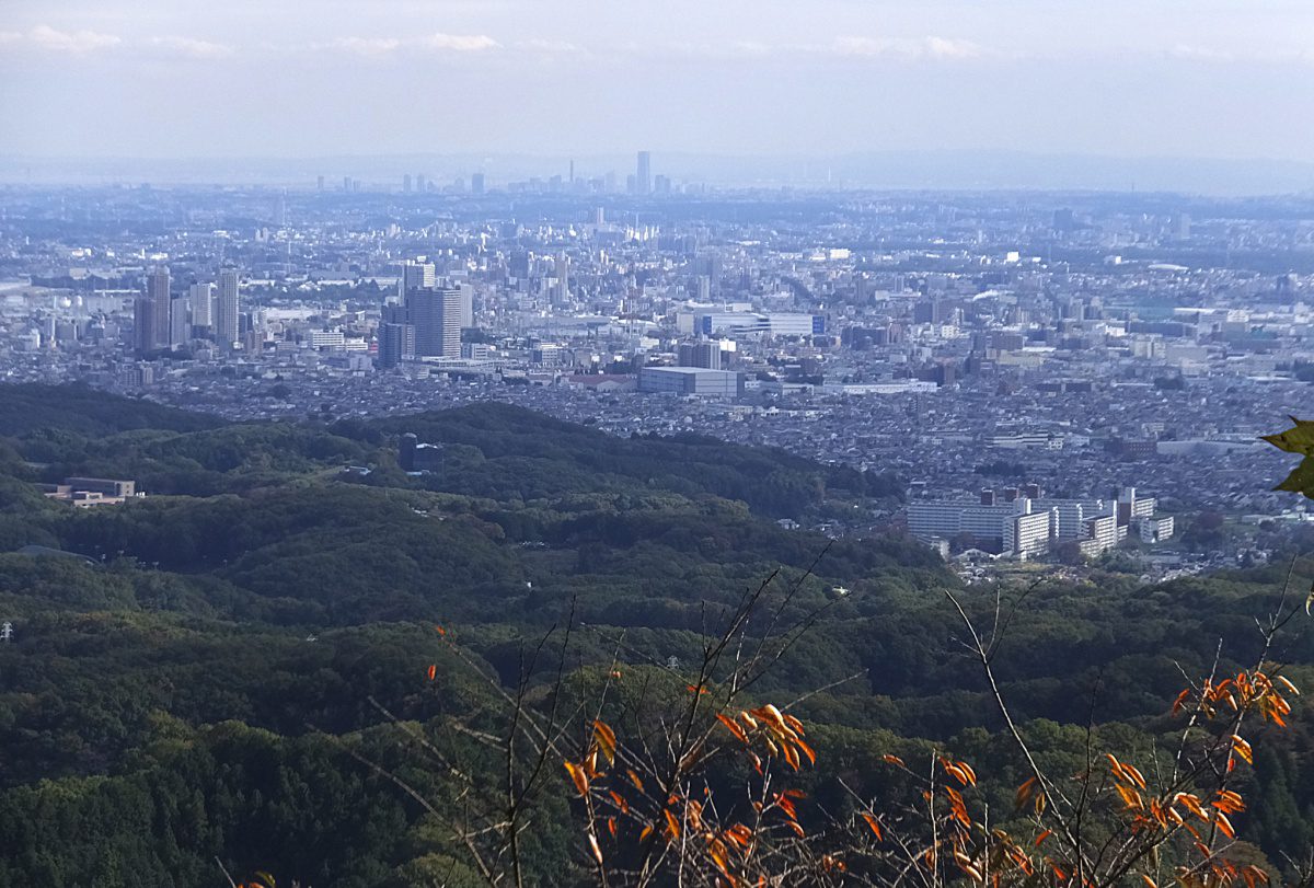 View from mount Takao