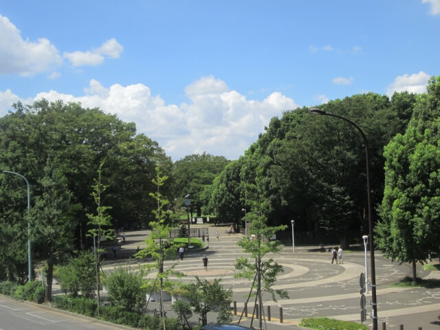 yoyogi park