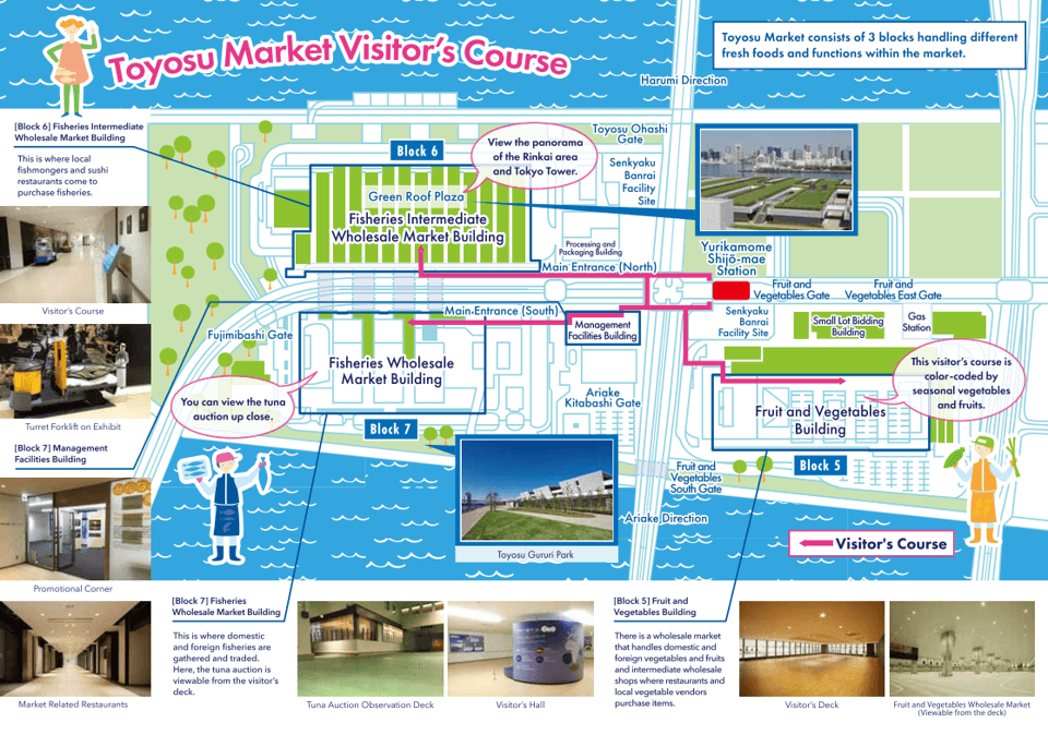 Toyosu Market Map