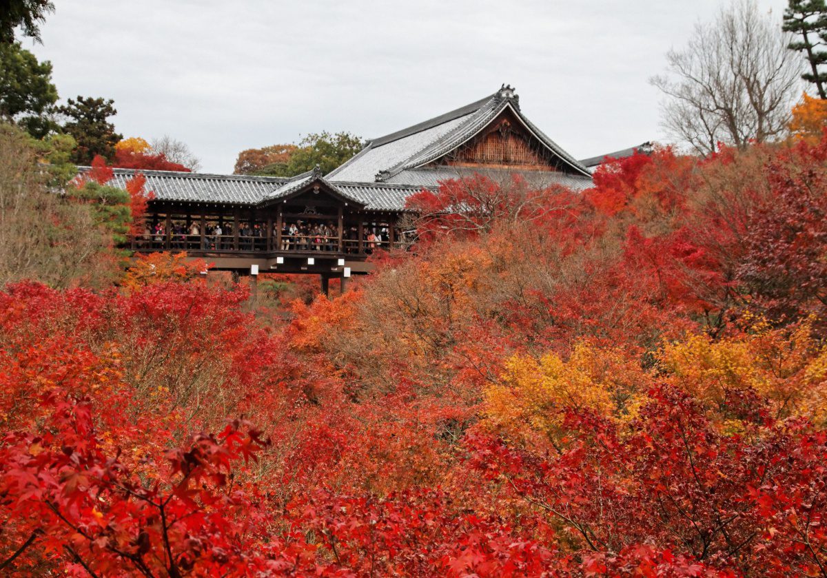 Tofukuji Temple autumn foliage