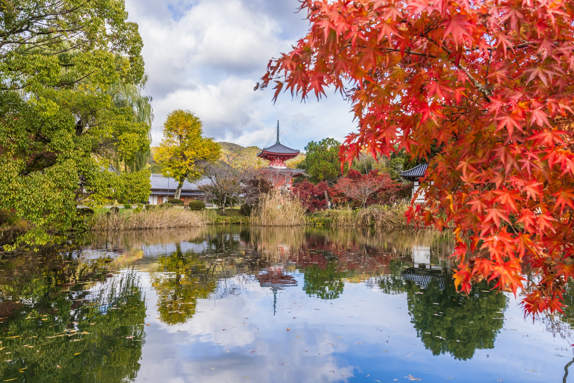 10 Best Places to See Autumn Leaves in Kyoto 2024 | Japan Wonder Travel ...