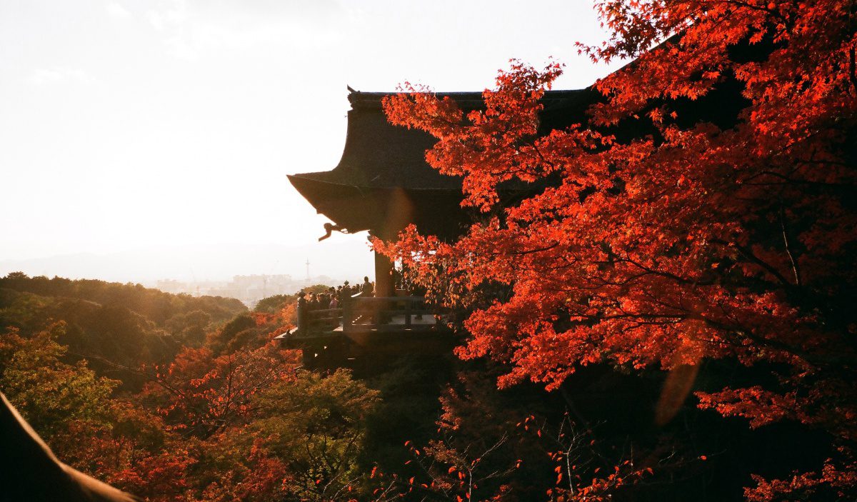 Shimizu autumn foliage