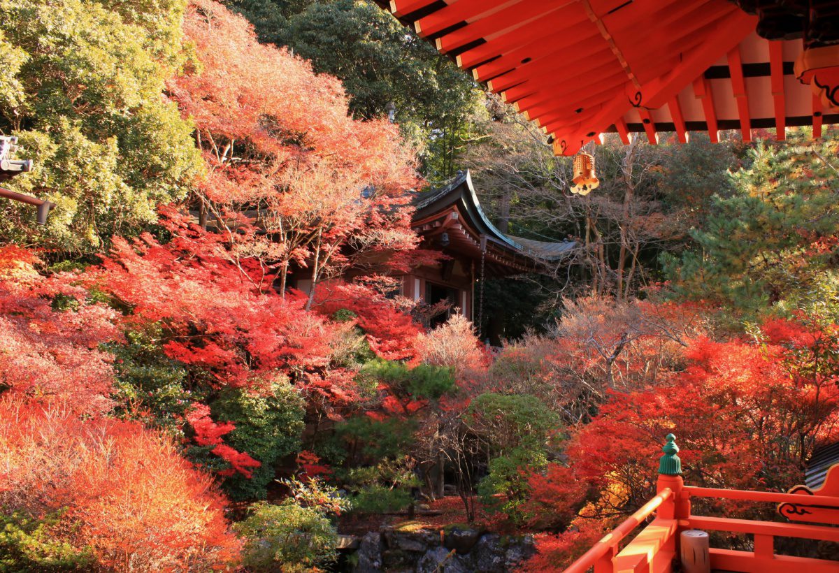 Autumn foliage Bishamondo Temple