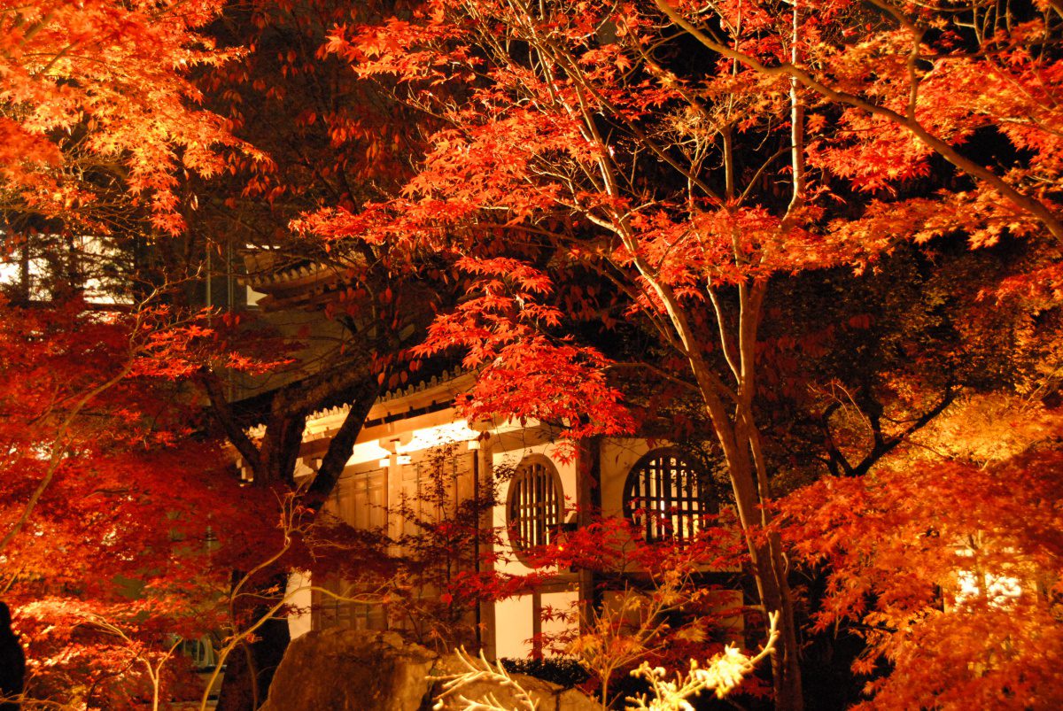 Eikando temple autumn foliage