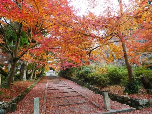 Autumn foliage Bishamondo temple Kyoto