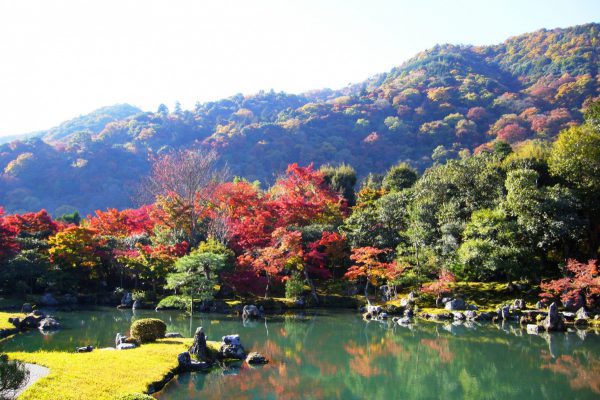 20 Reasons Why You Should Visit Japan | Japan Wonder Travel Blog