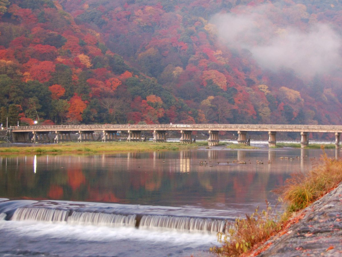 beautiful view of the bridge and river