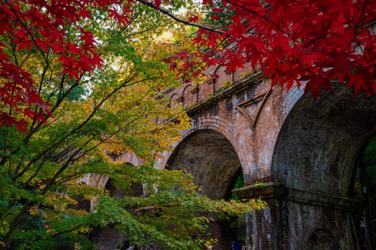 10 Best Places To See Autumn Leaves In Kyoto 2024 | Japan Wonder Travel ...