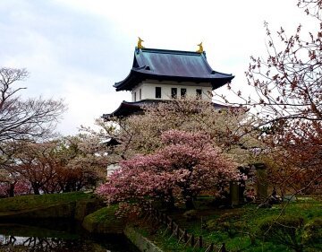 the best cherry blossom viewing spots throughout japan the best cherry blossom viewing spots