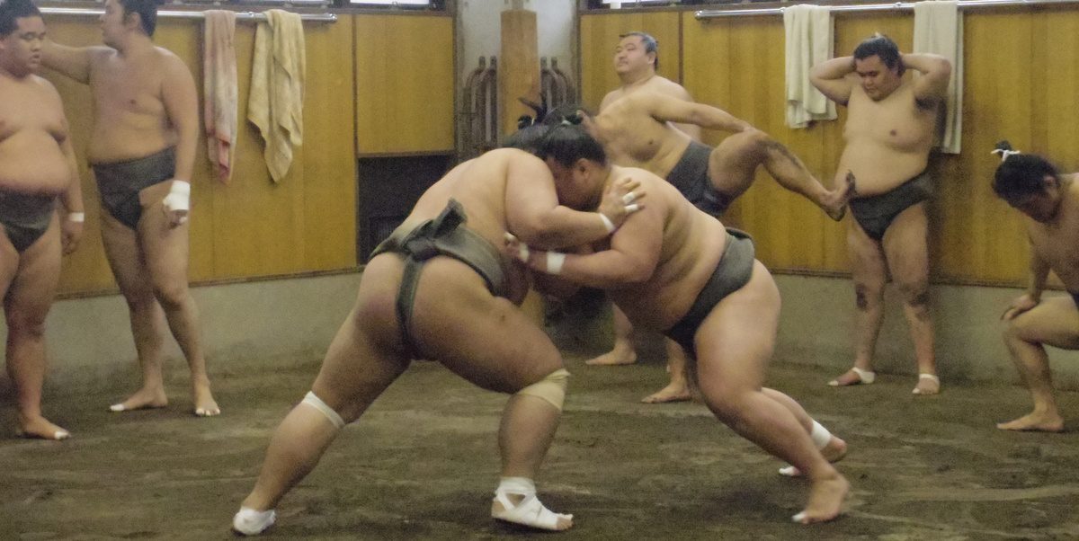 Sumo stables practice