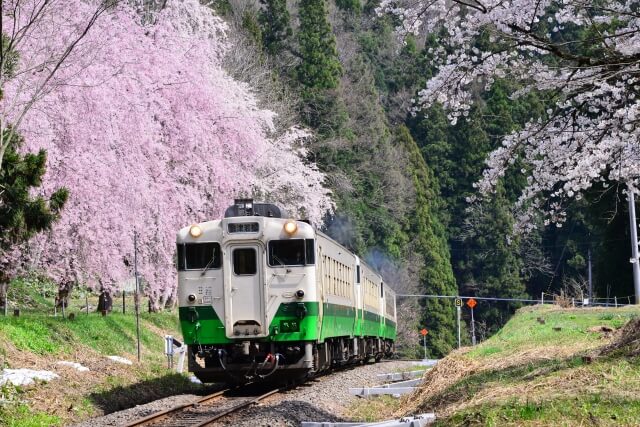 Sakura train Aizu railway / Fukushima