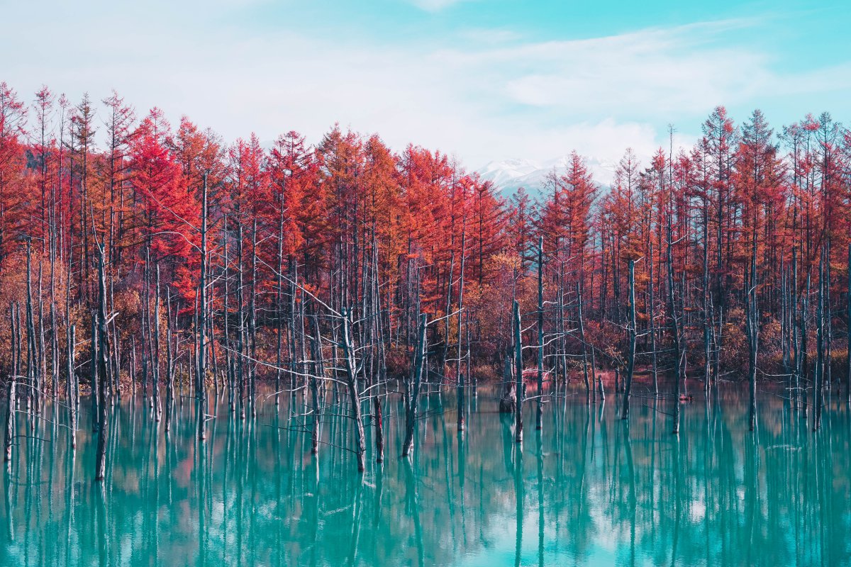 Hidden places in Japan - Shirogane Blue Pond Aoiike