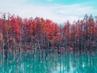 Hidden places in Japan - Shirogane Blue Pond Aoiike