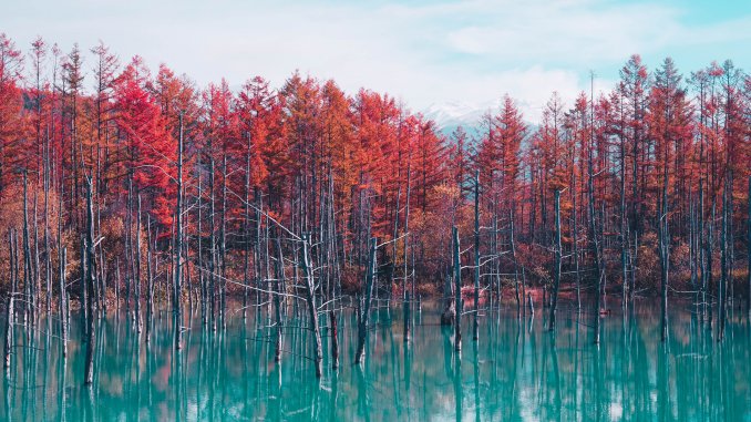 Hidden places in Japan - Shirogane Blue Pond Aoiike Hidden places in Japan - Shirogane Blue Pond Aoiike