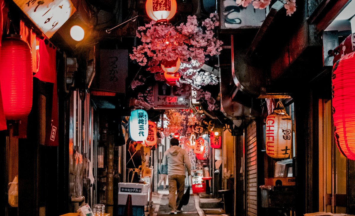 Omoide Yokocho Izakaya Alley Tokyo