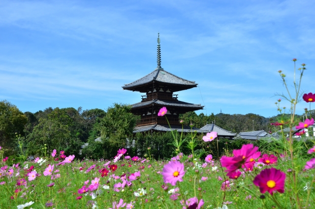 法隆寺 Horyuji temple