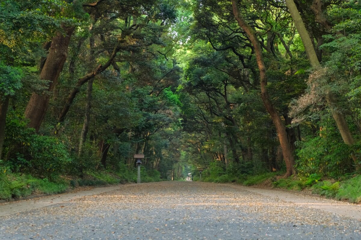 Meiji jingu shrine 