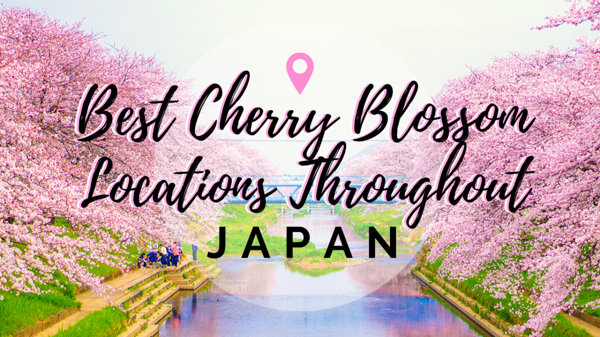 Best cherry blossom locations Japan