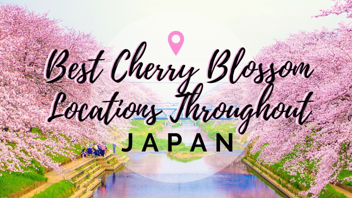 In pictures: Best places to witness cherry blossoms in Japan