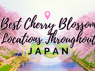 Best cherry blossom locations Japan