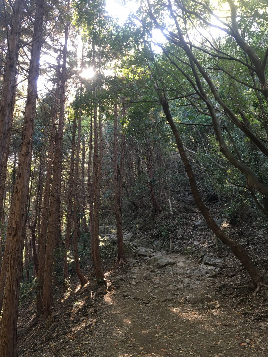 Takao Inariyama Trail