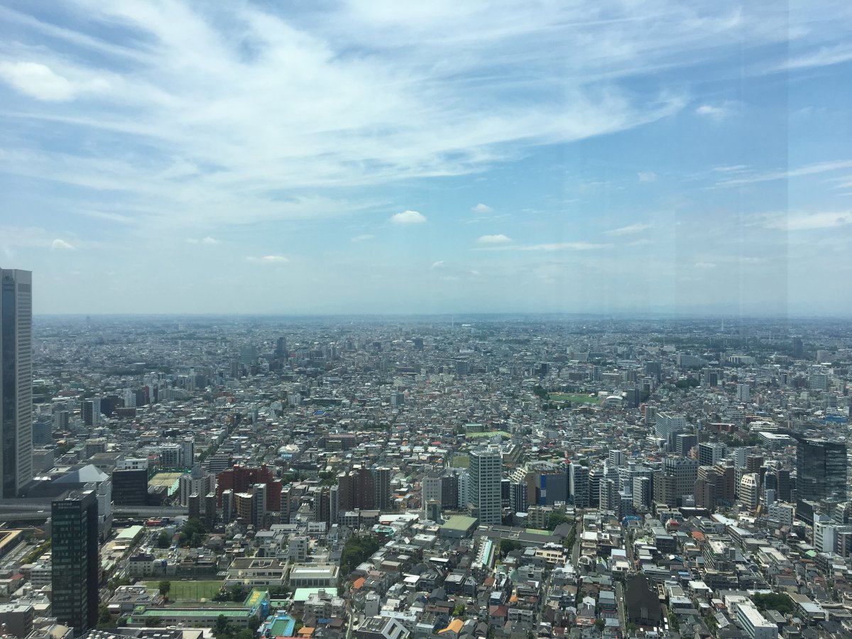 Tokyo skyline sunset from Shinjuku Government Building