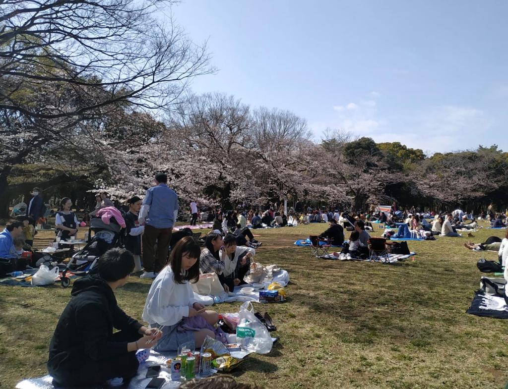 hanami yoyogi