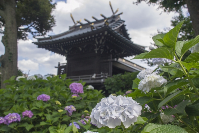 hakusan shrine tokyo