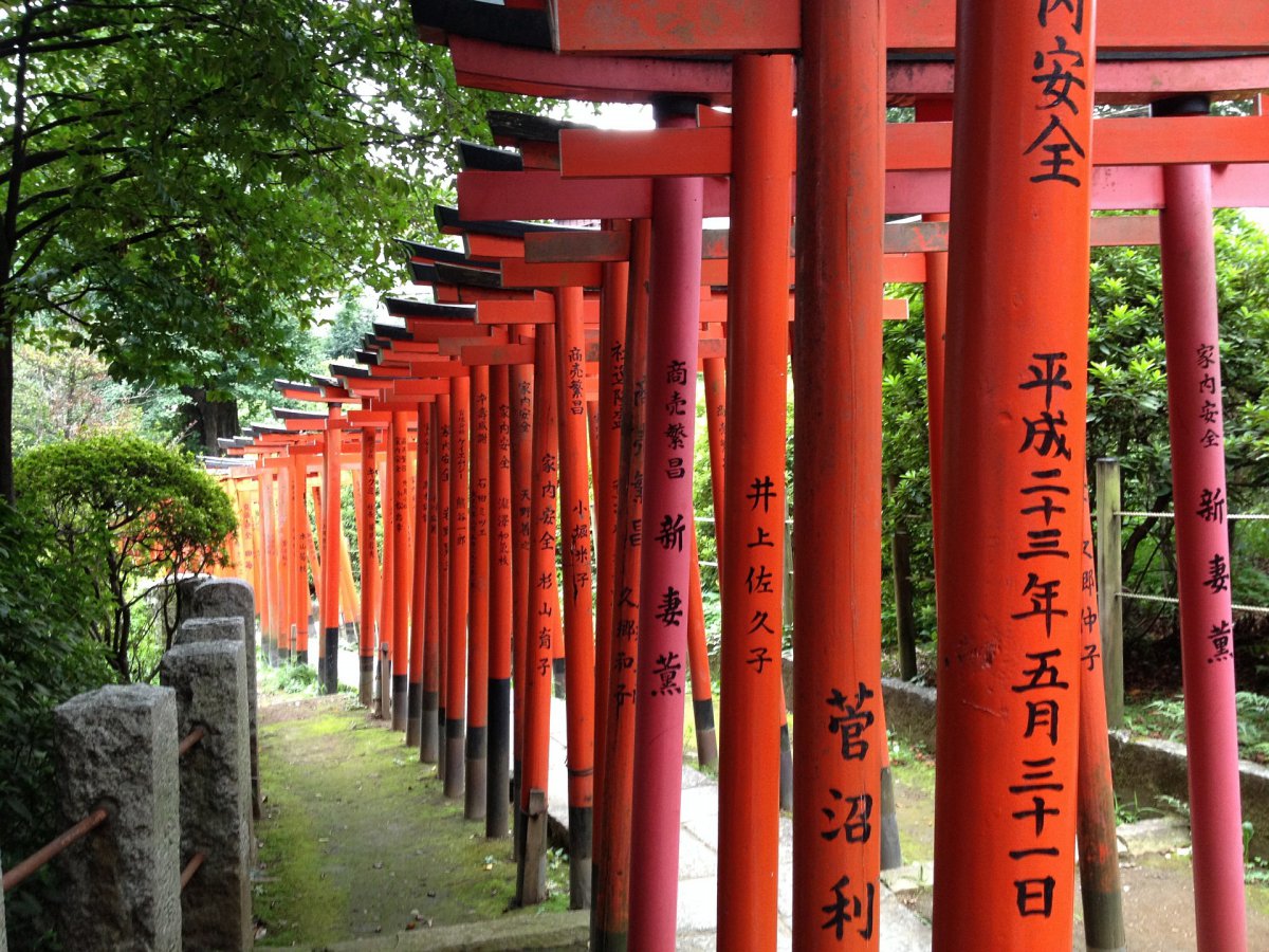 Nezu Shrine Torri