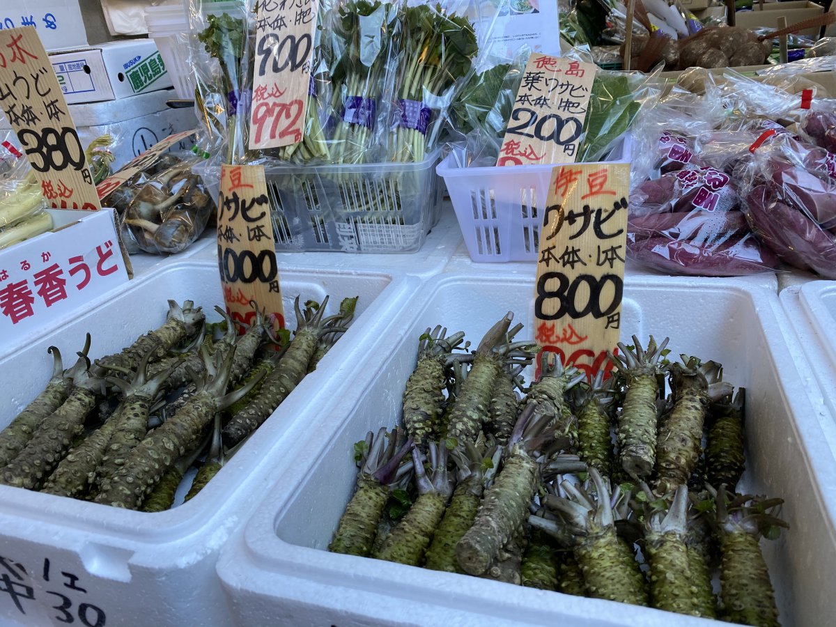 Tsukiji market wasabi