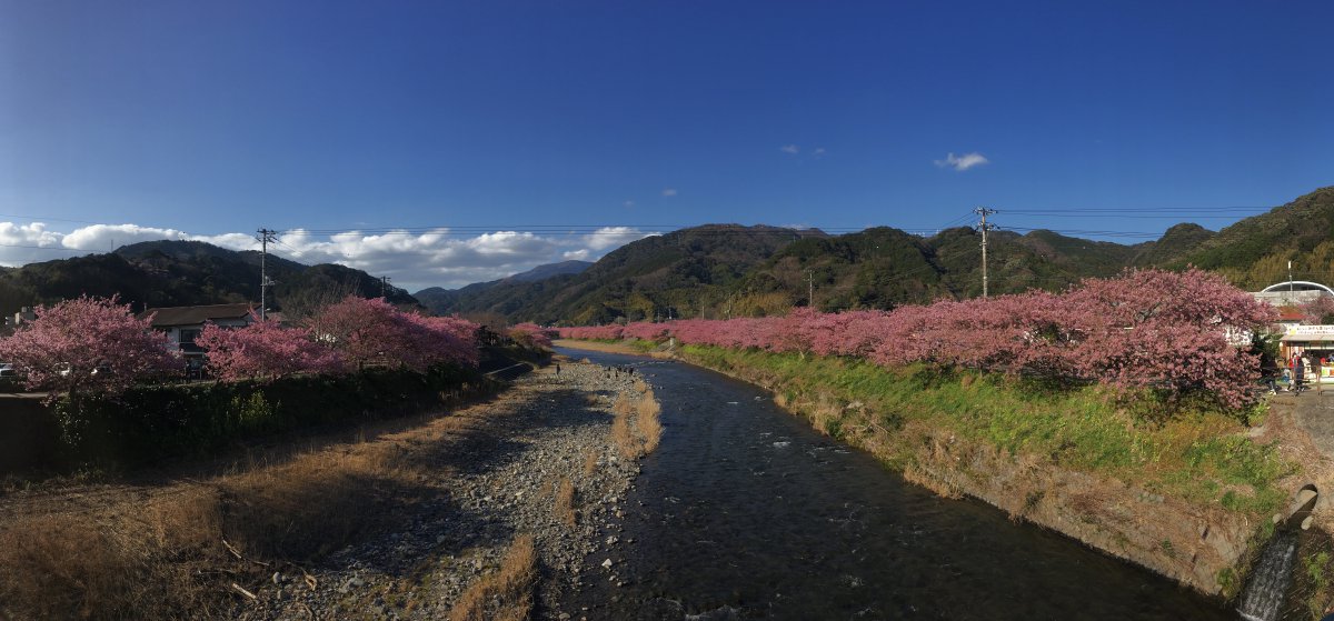 Explore Kanagawa, Shizuoka, and Yamanashi: Matias