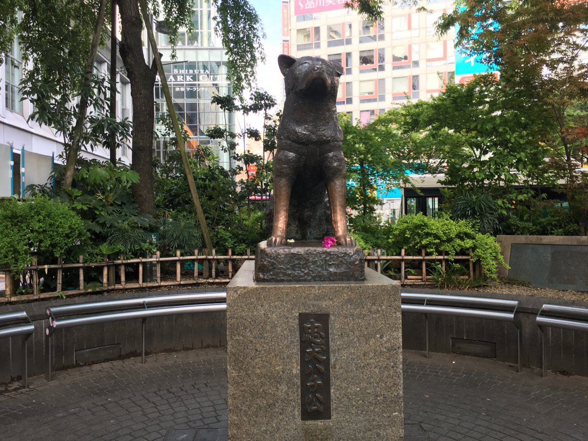 Hachinko Statue Shibuya