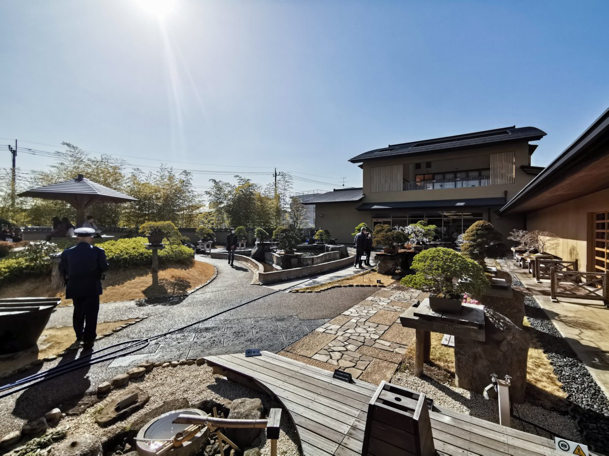 Saitama Omiya Bonsai Art Museum