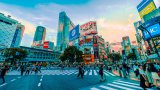 shibuya tourist guide