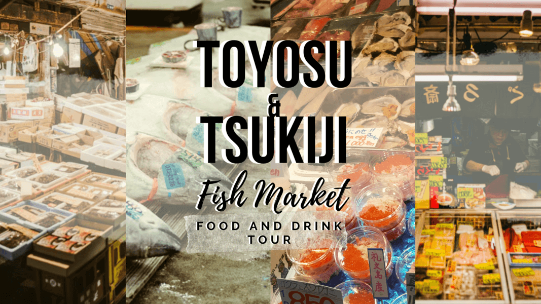 Toyosu and Tsukiji Food Tour